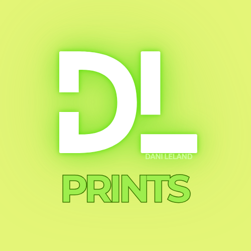 DL PRINTS Logo